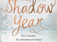 shadow year