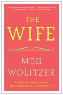 The Wife by Meg Wolitzer (Book Review)
